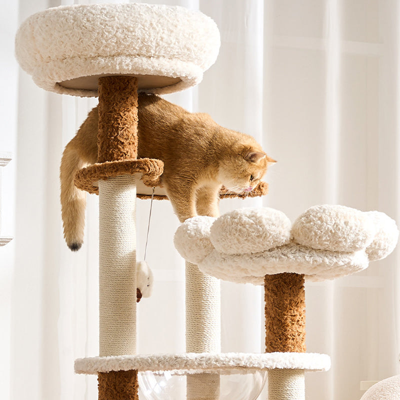 Arbre à chat contemporain scandinave à 5 niveaux en panneau de fibres de densité moyenne, tissu velours, corde de chanvre, tube en papier et acrylique pour chambre à coucher 