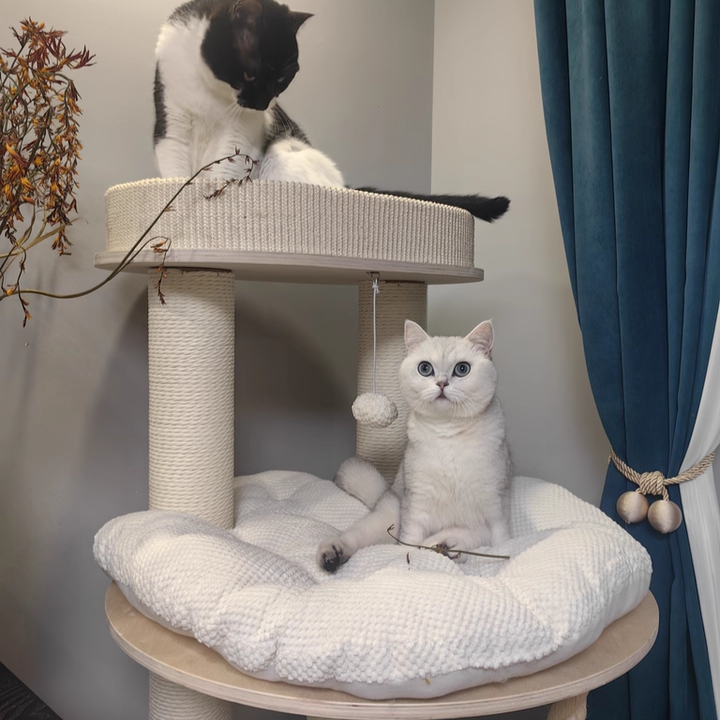Zeitgenössischer skandinavischer runder Katzenbaum aus Sperrholz, Samtstoff, Papierseil, Sisal und Acryl, 6-stufig, für das Wohnzimmer 