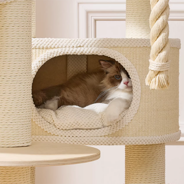 Zeitgenössischer skandinavischer runder Katzenbaum aus Sperrholz, Samtstoff, Papierseil, Sisal und Acryl, 6-stufig, für das Wohnzimmer 