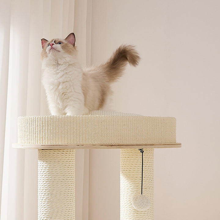 Arbre à chat contemporain scandinave rond à plusieurs niveaux en bois massif, contreplaqué, tissu velours, corde en papier, sisal, acrylique, 6 niveaux pour salon 