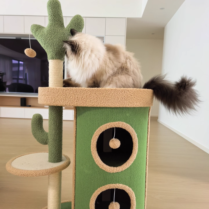 Zeitgenössischer kreativer runder Spanplatten-Samtstoff-Sisal-Papierrohr-Kaktus-Katzenbaum &amp; -Condo 2-Condo 1-Sitzstange für Schlafzimmer 