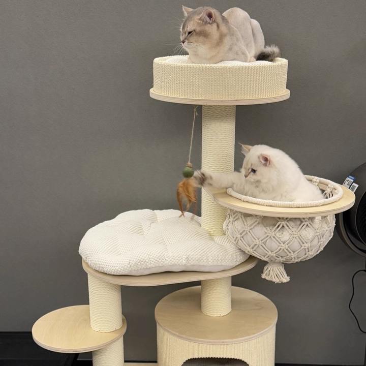 Contemporary Scandinavian Round Plywood Paper Rope Sisal Velvet Fabric Cat Tree &amp; Condo 2-Condo 2-Perch For Bedroom