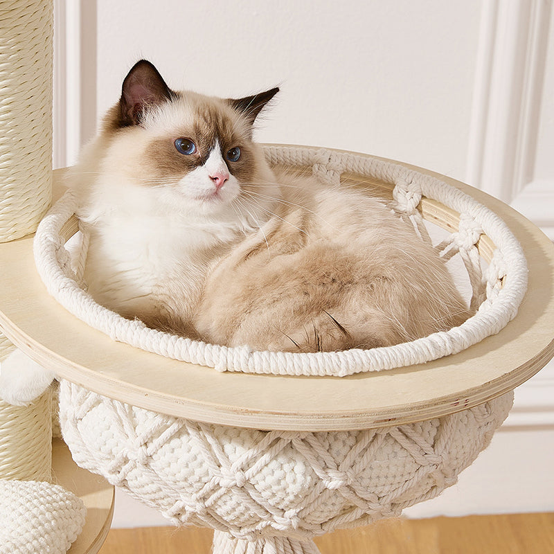 Contemporary Scandinavian Round Plywood Paper Rope Sisal Velvet Fabric Cat Tree &amp; Condo 2-Condo 2-Perch For Bedroom