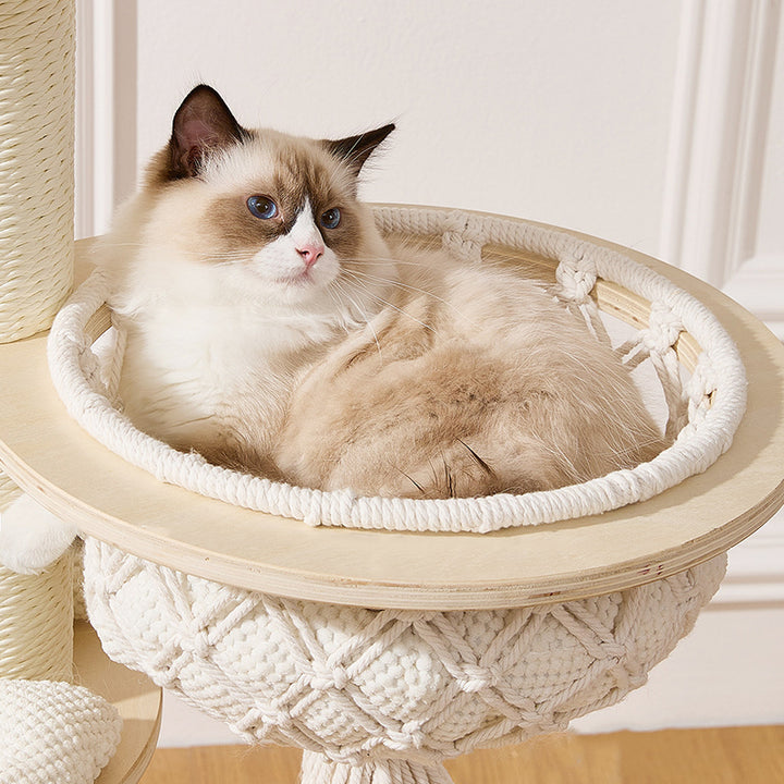 Contemporary Scandinavian Round Plywood Paper Rope Sisal Velvet Fabric Cat Tree &amp; Condo 2-Condo 2-Perch For Bedroom