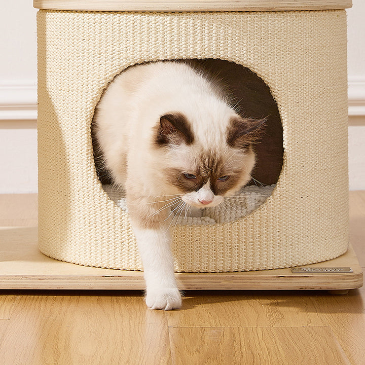 Contemporary Scandinavian Round Plywood Paper Rope Sisal Velvet Fabric Cat Tree &amp; Condo 2-Condo 2-Perch For Bedroom