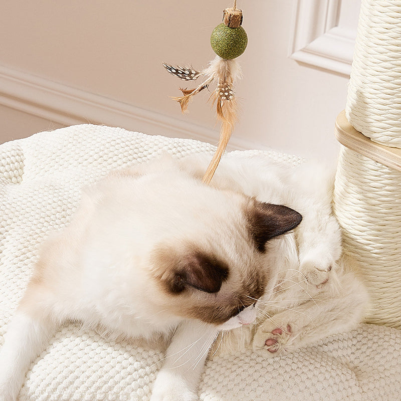 Contemporary Scandinavian Round Plywood Paper Rope Sisal Velvet Fabric Cat Tree &amp; Condo 2-Condo 2-Perch For Bedroom