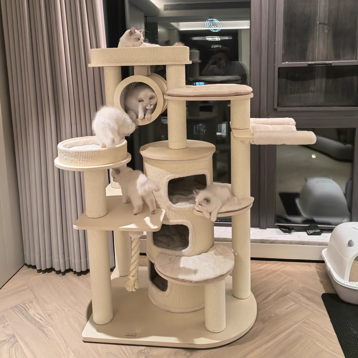 Arbre à chat et condo contemporain scandinave rond en bois massif, contreplaqué, panneau de particules, corde en papier et tissu velours, 3 condos, 5 perchoirs, pour chambre à coucher 
