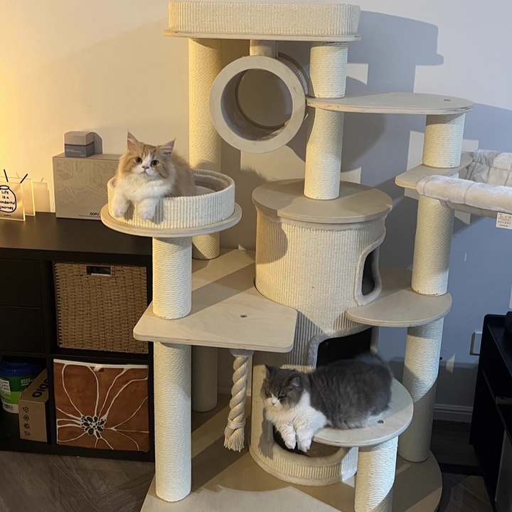 Arbre à chat et condo contemporain scandinave rond en bois massif, contreplaqué, panneau de particules, corde en papier et tissu velours, 3 condos, 5 perchoirs, pour chambre à coucher 