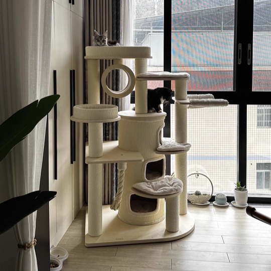Arbre à chat et condo contemporain scandinave rond en bois massif, contreplaqué, panneau de particules, corde en papier et tissu velours, 3 condos, 5 perchoirs, pour chambre à coucher 