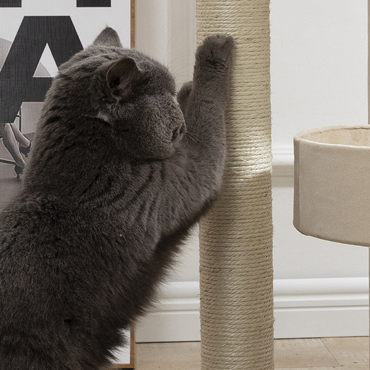 Arbre à chat contemporain scandinave rectangulaire en panneau de particules, papier kraft, tube, tissu velours, sisal, 1 condo, 2/3 perchoirs pour chambre à coucher 
