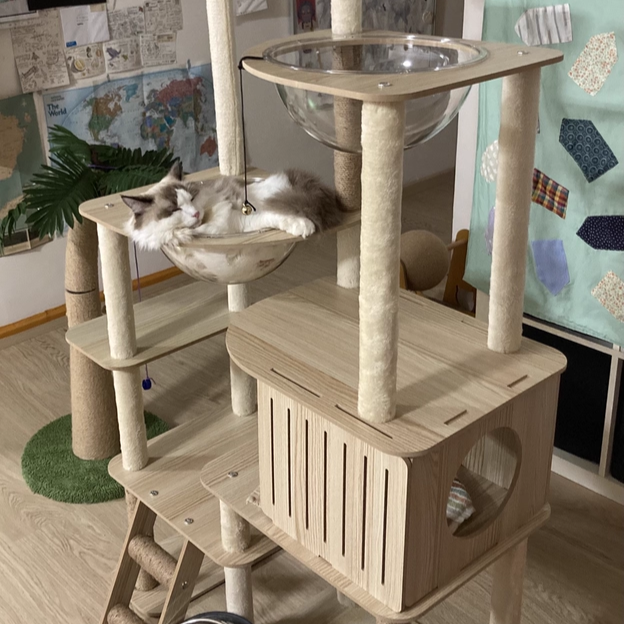 Árbol para gatos contemporáneo escandinavo rectangular de tablero de fibra de densidad media con tela de terciopelo, cuerda de cáñamo y acrílico, con 3 condominios y 4 perchas para el dormitorio 