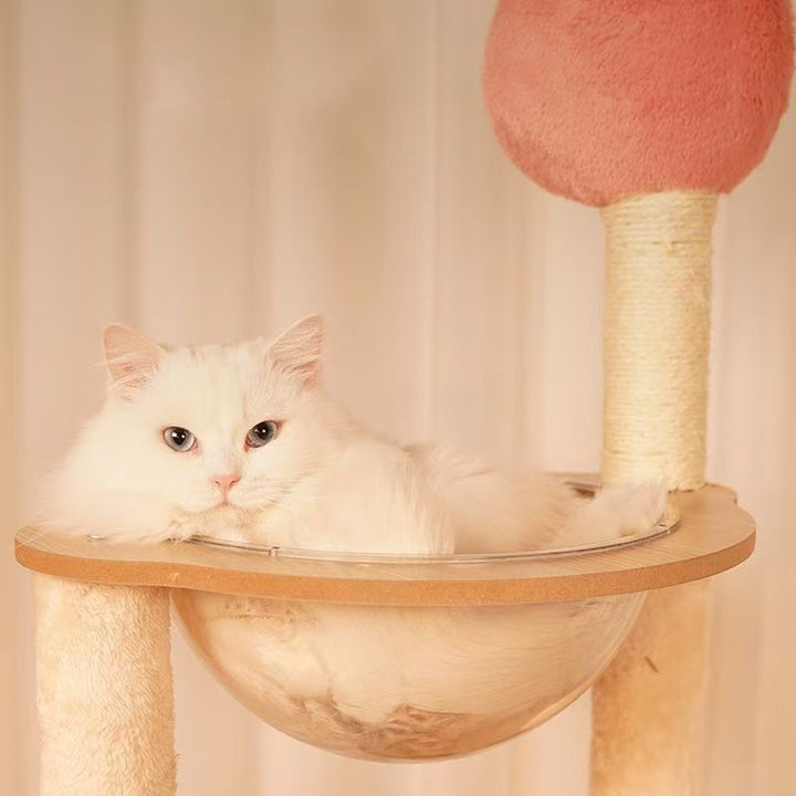 Árbol para gatos contemporáneo escandinavo rectangular de tablero de fibra de densidad media con tela de terciopelo, cuerda de cáñamo y acrílico, con 3 condominios y 4 perchas para el dormitorio 