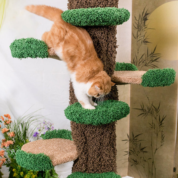 Moderner kreativer runder Katzenbaum aus Eukalyptusholz mit Plüschstoff und baumförmigem Design, 2/7-Liegeflächen für das Schlafzimmer 