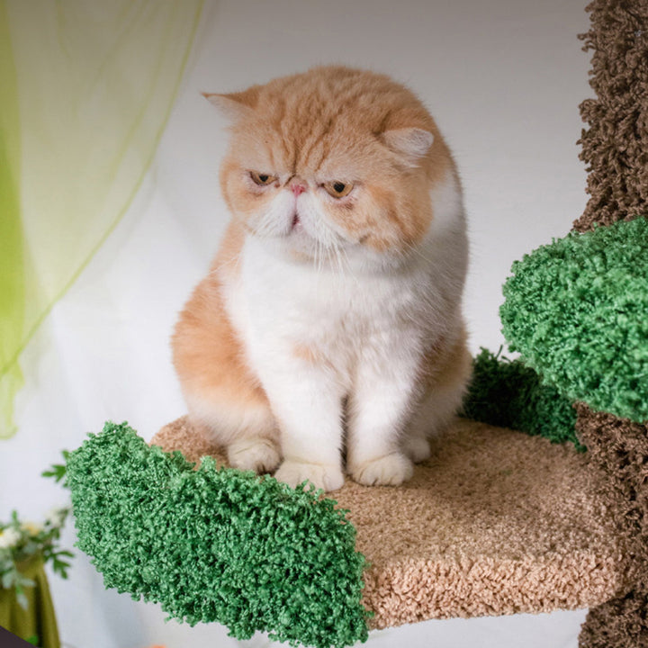Moderner kreativer runder Katzenbaum aus Eukalyptusholz mit Plüschstoff und baumförmigem Design, 2/7-Liegeflächen für das Schlafzimmer 
