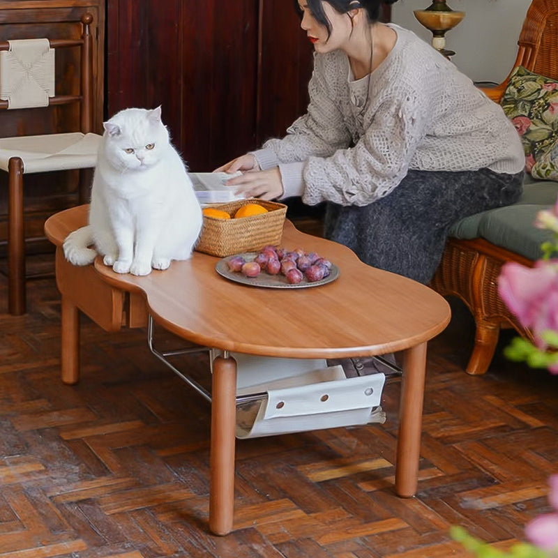 Traditional Vintage Rectangular Rubberwood Stainless Steel Coffee Table 1-Drawer For Living Room