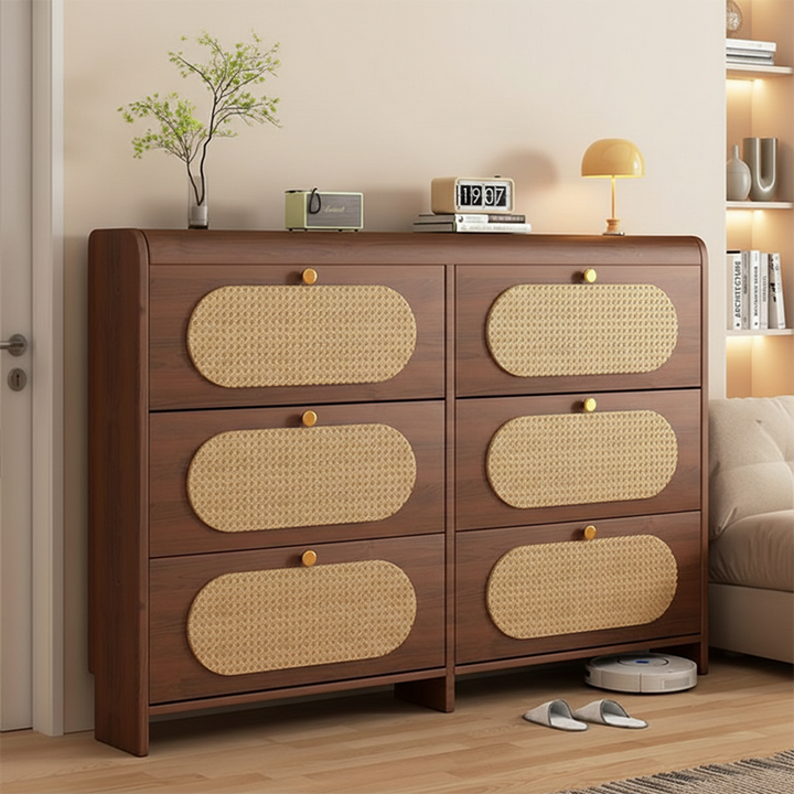 Almacenamiento de Zapatos Rectangular de Plástico HDF Retro Contemporáneo con 6 Gabinetes para la Entrada 
