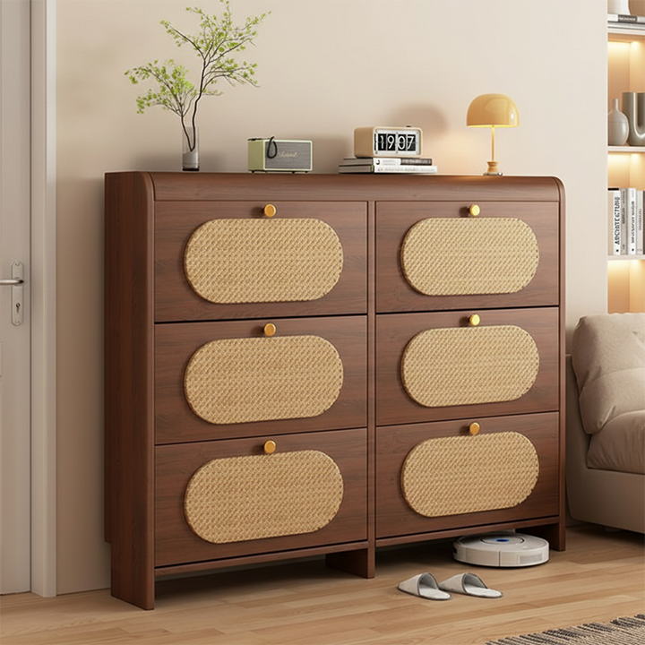 Almacenamiento de Zapatos Rectangular de Plástico HDF Retro Contemporáneo con 6 Gabinetes para la Entrada 