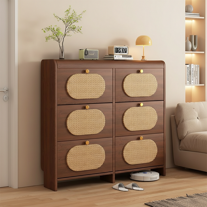 Almacenamiento de Zapatos Rectangular de Plástico HDF Retro Contemporáneo con 6 Gabinetes para la Entrada 