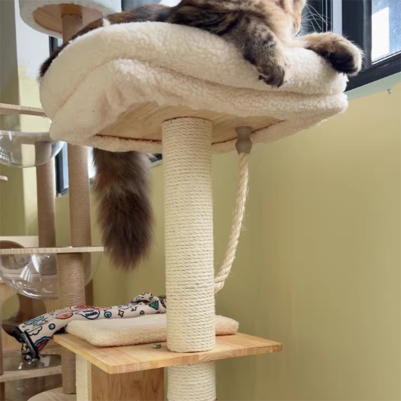 Árbol para gatos rectangular de 3 niveles, moderno y minimalista, de madera de caucho, sisal y terciopelo, ahorra espacio y es duradero para la sala de estar 