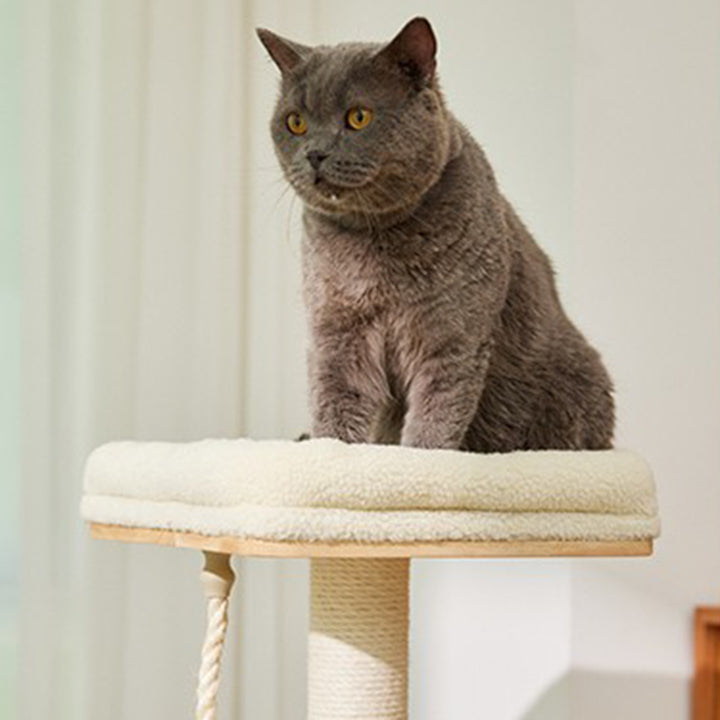 Árbol para gatos rectangular de 3 niveles, moderno y minimalista, de madera de caucho, sisal y terciopelo, ahorra espacio y es duradero para la sala de estar 