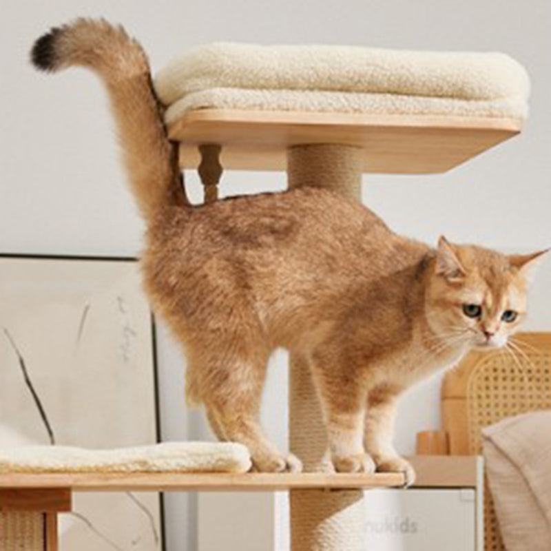 Árbol para gatos rectangular de 3 niveles, moderno y minimalista, de madera de caucho, sisal y terciopelo, ahorra espacio y es duradero para la sala de estar 