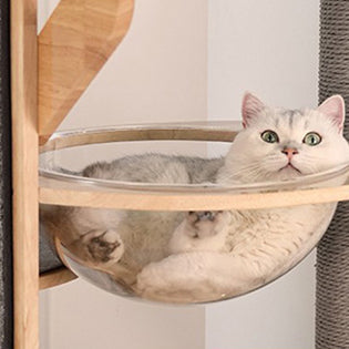 Arbre à chat rond minimaliste moderne en MDF et feutre avec 3 condos, 4 perchoirs et 1 griffoir pour salon 