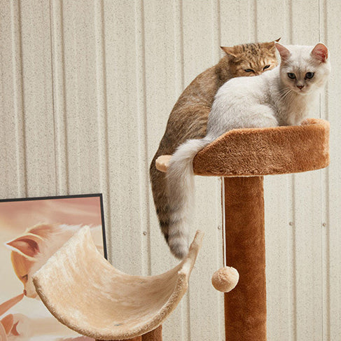Modern Minimalist Particle Board Velvet Cardboard Tube Sisal Rope Square Cat Tree &amp; Condo 1-Hammock 3-Condo 4-Scratching Post 1-Ladder 2-Perch For Living Room