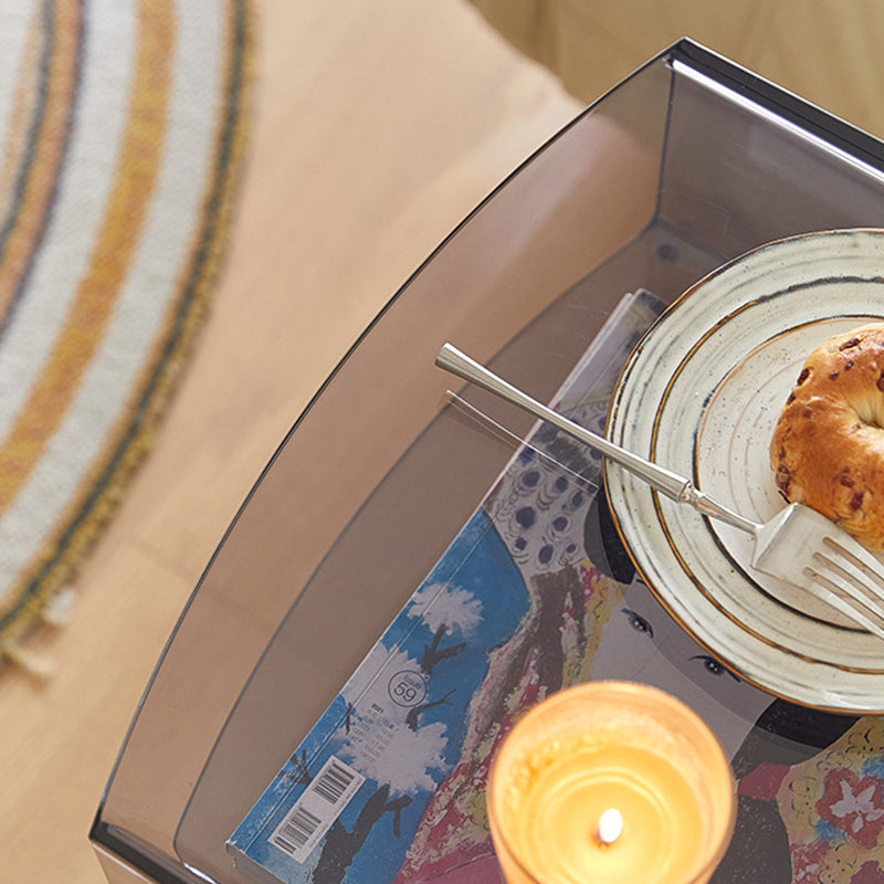 Zeitgenössischer nordischer Buchenholz-PC & Acryl-Rechteckiger Beistelltisch mit 2 Ebenen und 1 Schrank für das Wohnzimmer 
