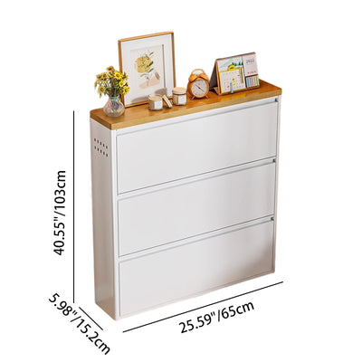 Modern Minimalist Steel Slim Rectangular Shoe Storage With Flip Drawers 3/4 Tier For Entryway