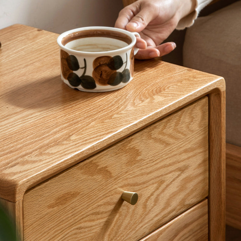 Modern Minimalist Rectangular Solid Wood Nightstand 4-Leg 2-Drawer For Bedroom