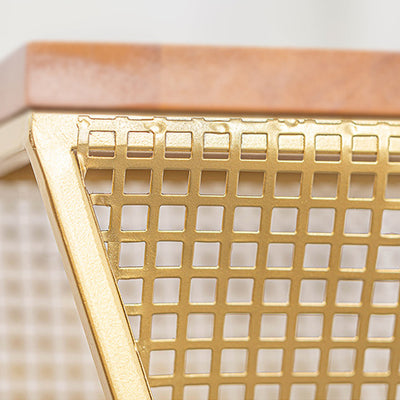 Modern Minimalist Square Metal Solid Wood Display Rack Openwork Design For Living Room