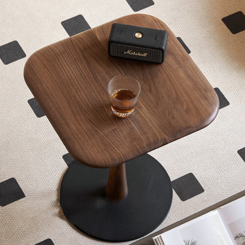 Modern Minimalist Square Black Walnut Metal End Table For Living Room