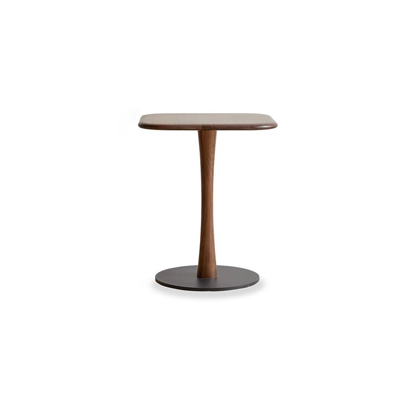 Modern Minimalist Square Black Walnut Metal End Table For Living Room