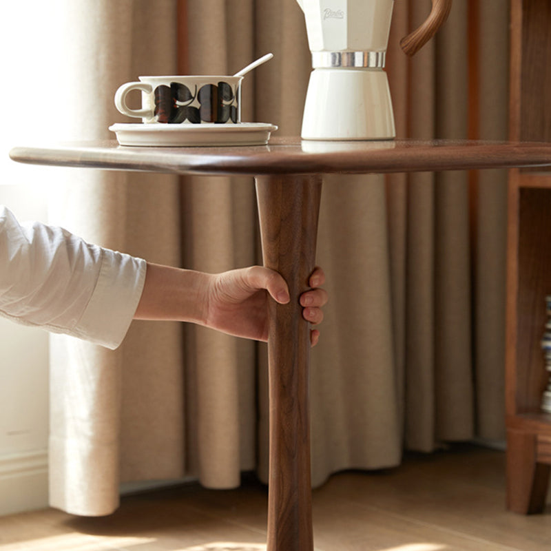 Modern Minimalist Square Black Walnut Metal End Table For Living Room