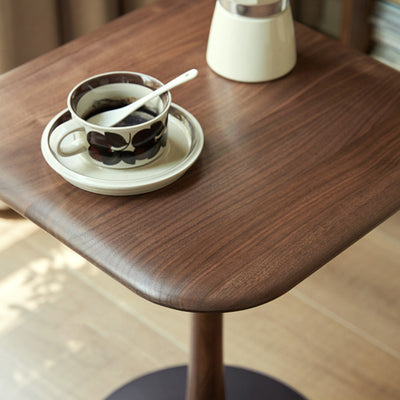 Modern Minimalist Square Black Walnut Metal End Table For Living Room