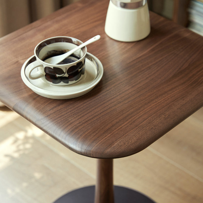 Modern Minimalist Square Black Walnut Metal End Table For Living Room