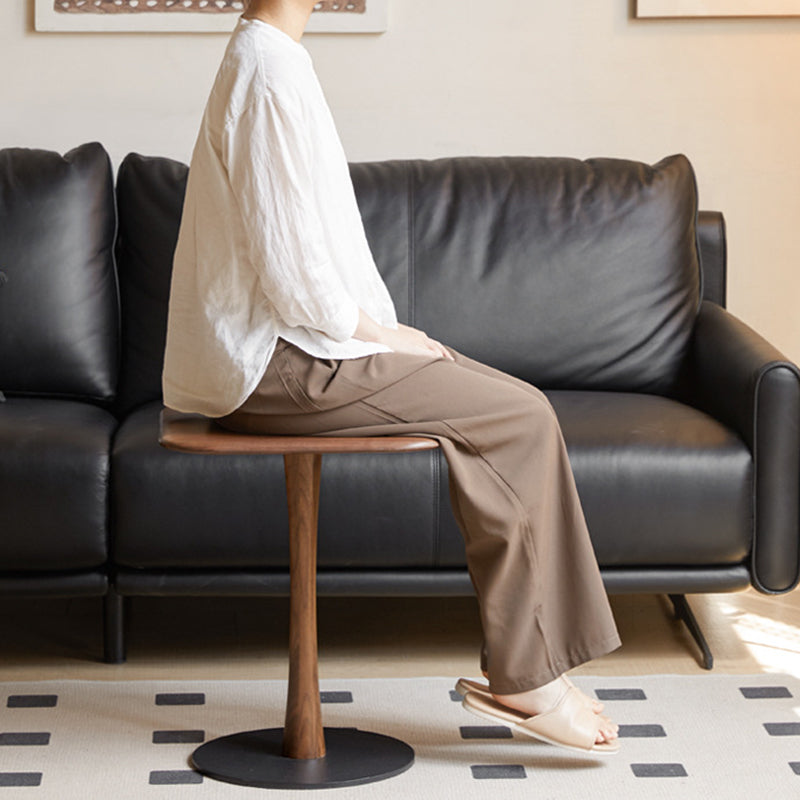 Modern Minimalist Square Black Walnut Metal End Table For Living Room