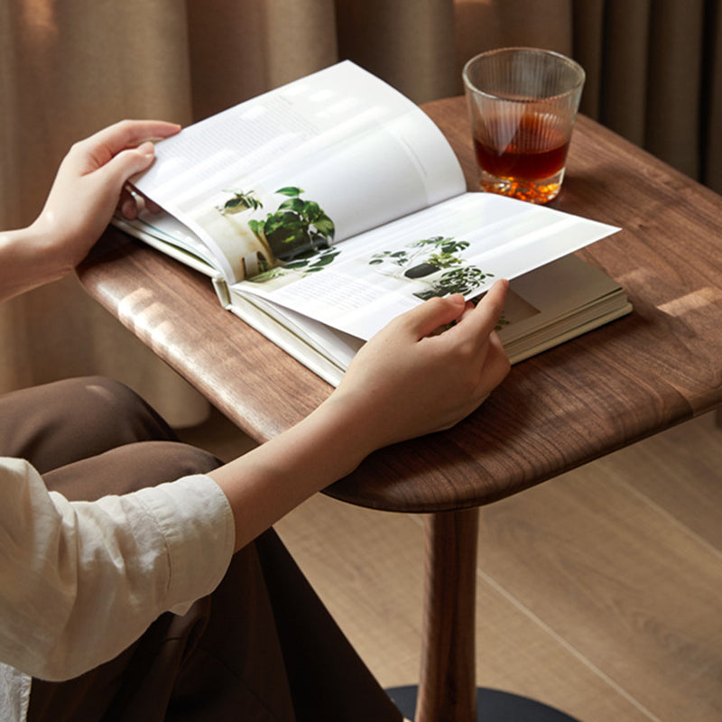 Modern Minimalist Square Black Walnut Metal End Table For Living Room