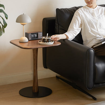 Modern Minimalist Square Black Walnut Metal End Table For Living Room