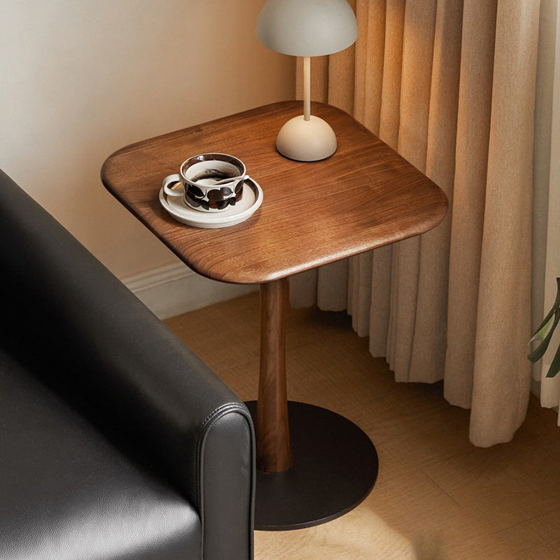 Modern Minimalist Square Black Walnut Metal End Table For Living Room