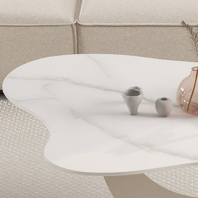 Modern Minimalist Cloud-shaped Stone Slab Carbon Steel Coffee Table For Living Room