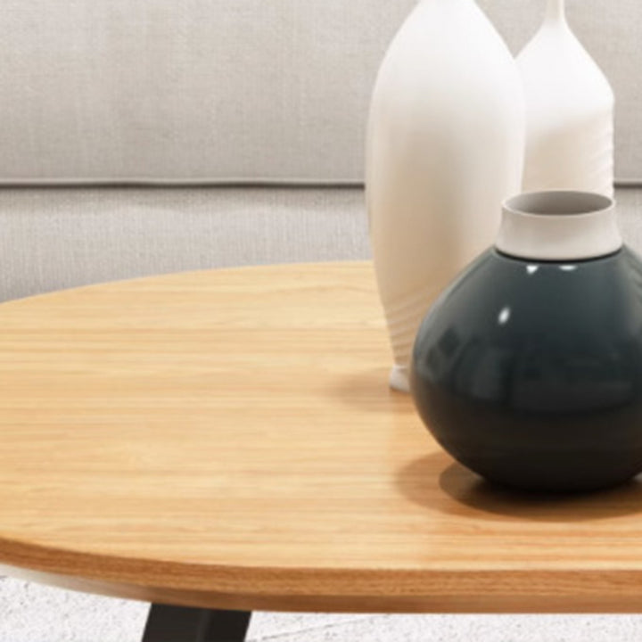 Zeitgenössischer nordischer Holz-Eisen-Oval-Dreieck-Bein-Couchtisch 1-Tablett für Wohnzimmer 