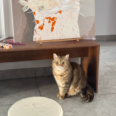 伝統的な日本の中密度ファイバーボード長方形のティーテーブル1段、リビングルーム用 