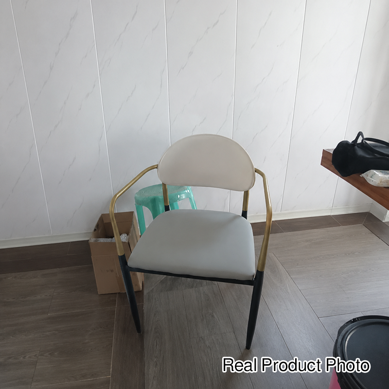 Modern Luxury Square Cushion Faux Leather Metal Sponge Dining Chair Backrest Armrest For Dining Room