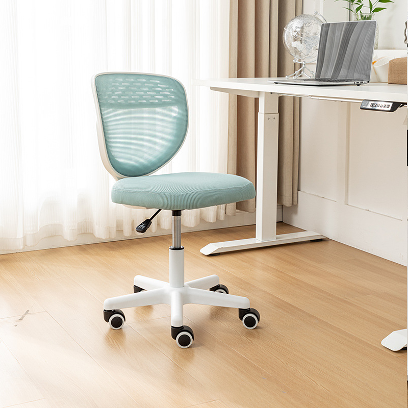 Simplicité Contemporaine Dossier De Chaise De Bureau En Nylon À Mailles En Plastique Sans Accoudoirs Pour Bureau À Domicile 