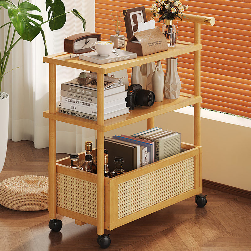 Contemporary Simplicity Rectangle Density Board Bamboo Acrylic Rattan Side Table 2/3 - Tier For Living Room