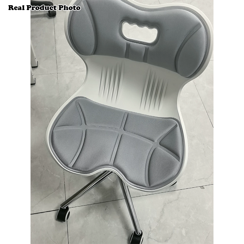 Modern Minimalist Fabric Nylon Plastic Steel Electroplated Metal Ergonomic Desk Chair Backrest For Home Office