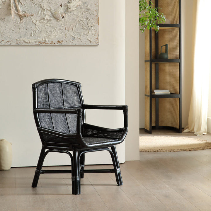Dossier et accoudoir de chaise d&