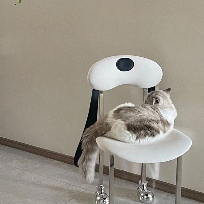 Modern Eclectic Dog Square Leather Stainless Steel Dining Chair Backrest For Dining Room