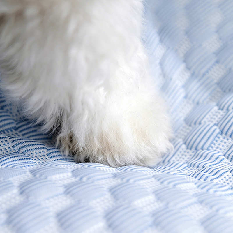 Contemporary Coastal Polyester Fabric PP Cotton Rectangular Dog Bed Pet Bed For Living Room